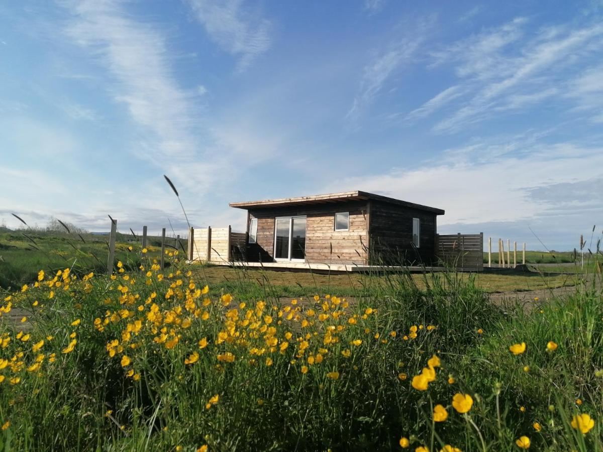 Blackwood Cottage Near Geysir Reykholt  Exterior foto